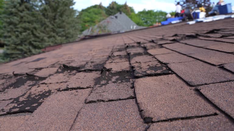 Best Commercial Roofing Services  in Burton, OH