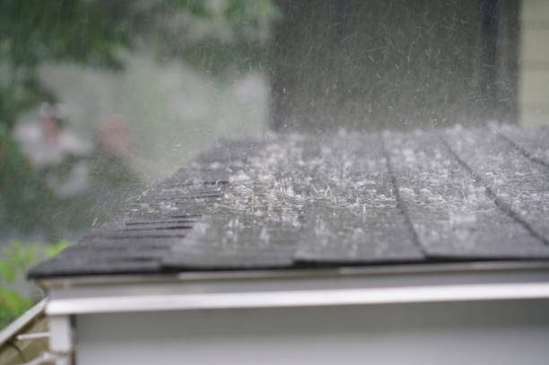 Best Roof Ventilation Installation  in Burton, OH